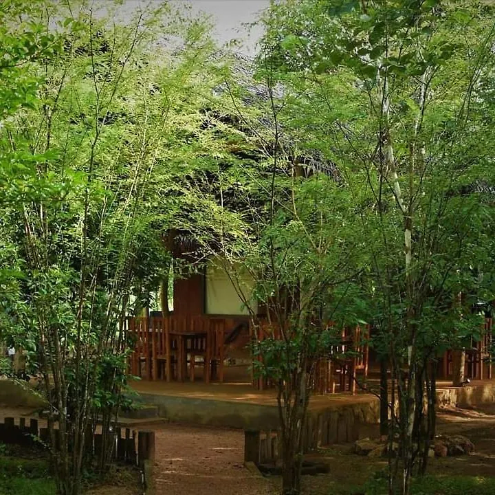 Sky Forest 하바라나 5*,