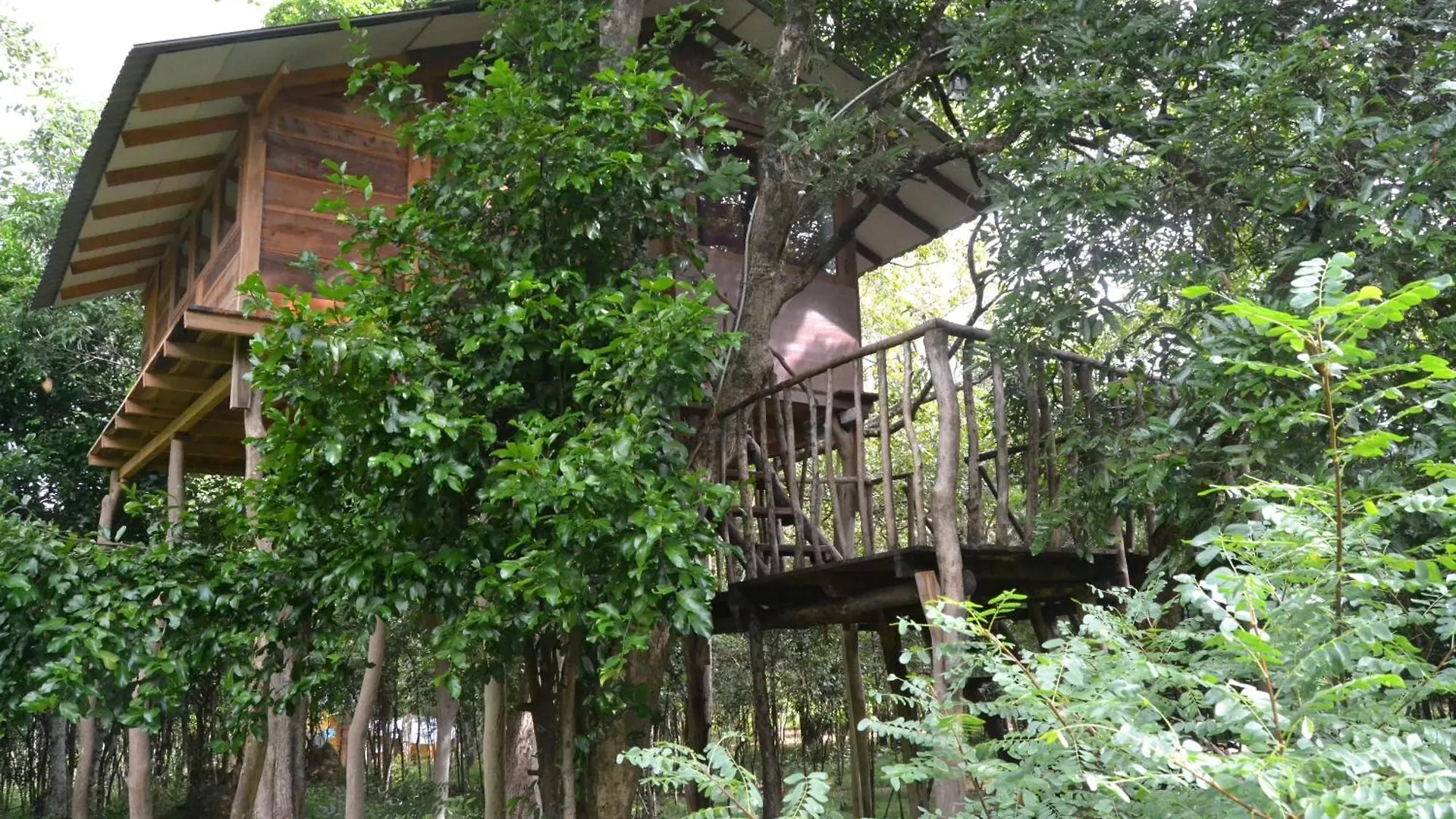 ***** 호텔 Sky Forest 하바라나 스리랑카