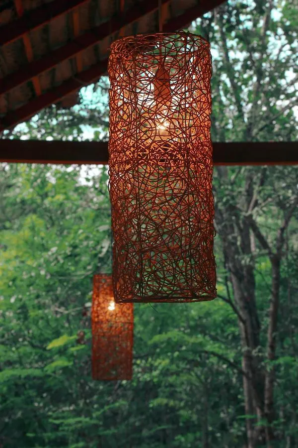 Sky Forest 하바라나