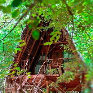 Ośrodek wypoczynkowy Tree House Ambasewana